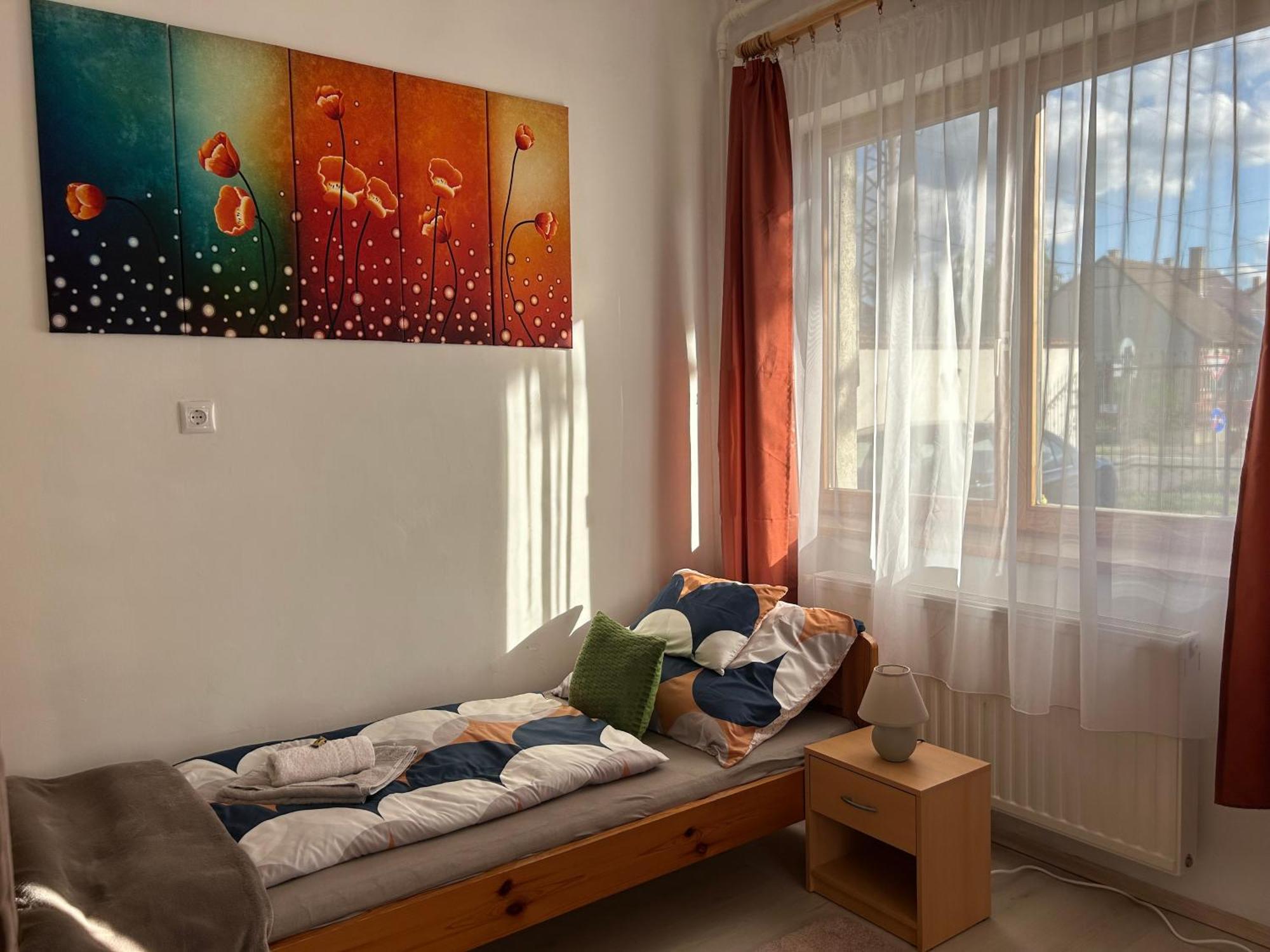 Tavaszpart Vendeghaz Daire Segedin Dış mekan fotoğraf