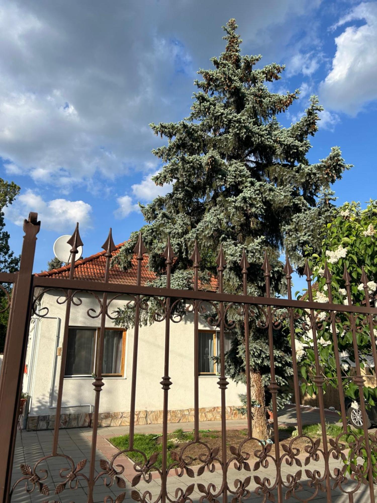 Tavaszpart Vendeghaz Daire Segedin Dış mekan fotoğraf
