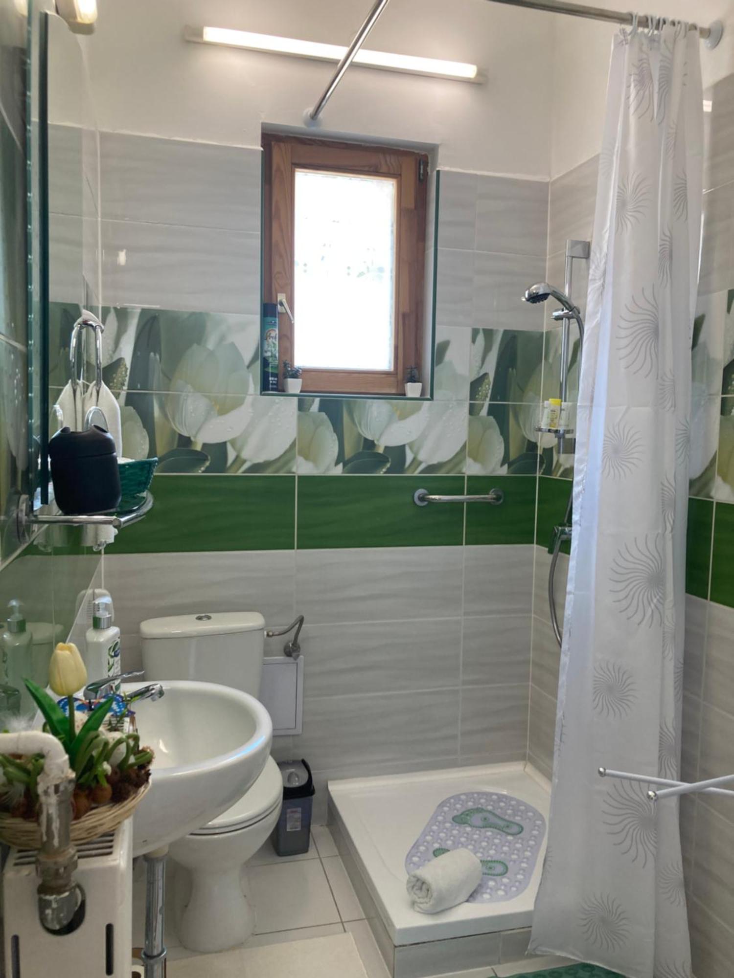 Tavaszpart Vendeghaz Daire Segedin Dış mekan fotoğraf