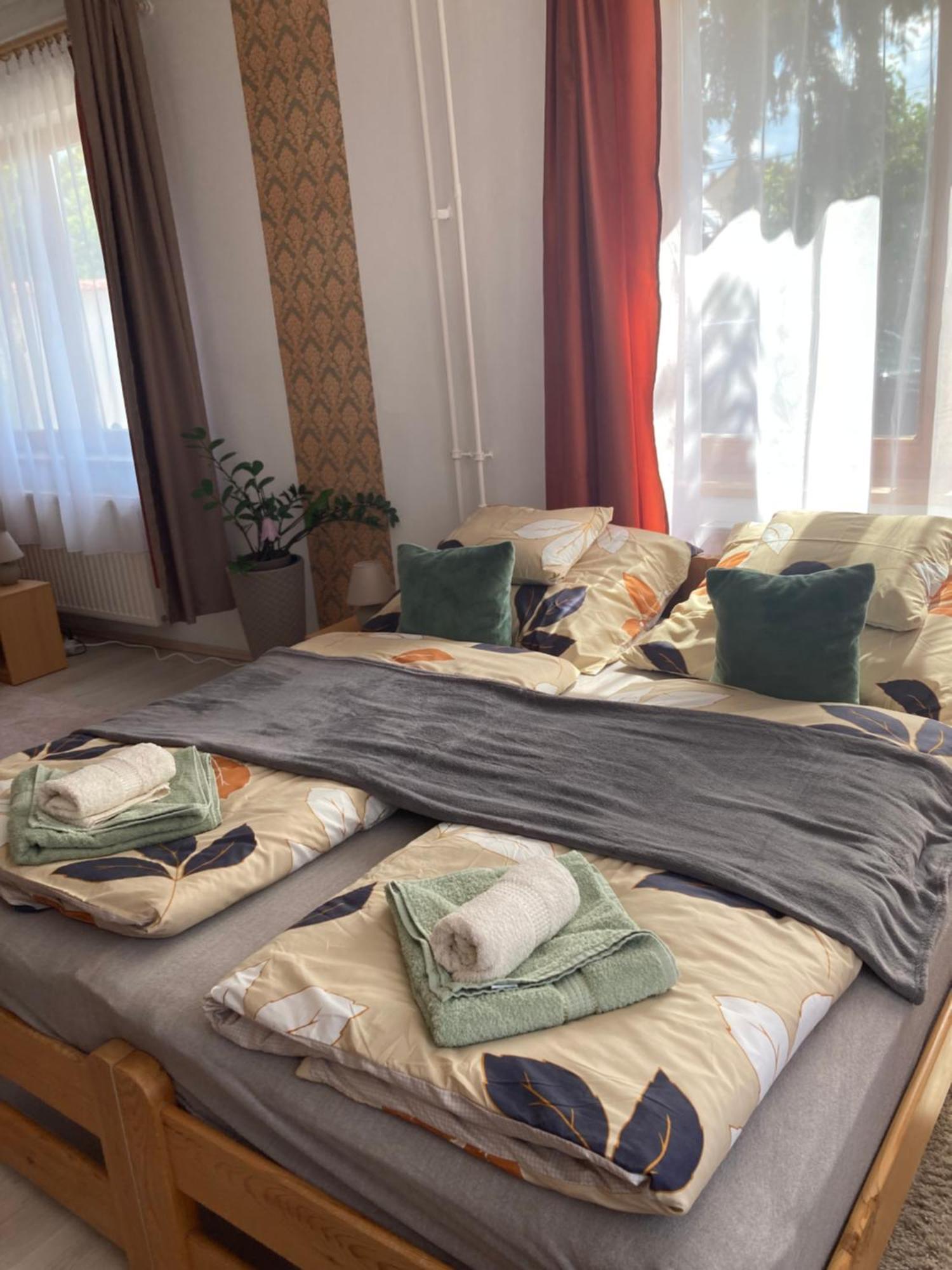 Tavaszpart Vendeghaz Daire Segedin Dış mekan fotoğraf